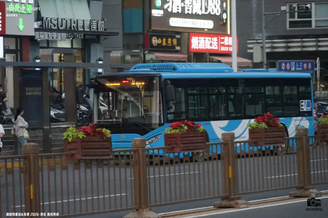 800BUS