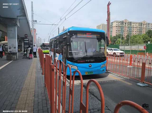 800BUS