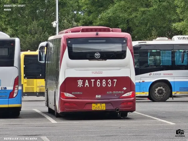 800BUS