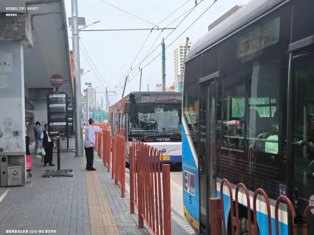 800BUS