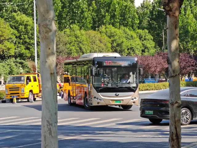 豫A 00673D