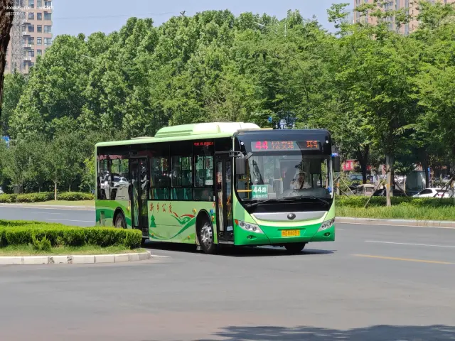 豫G B8097