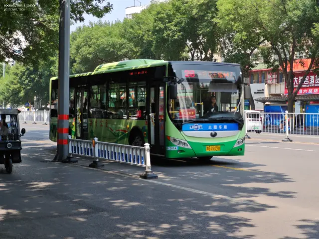 豫G B8098