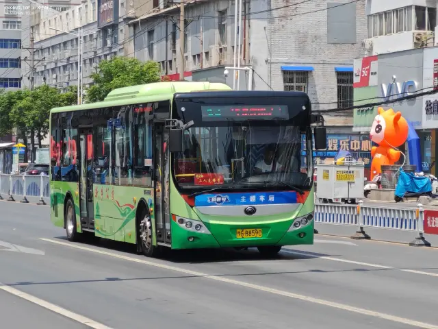 豫G B8590