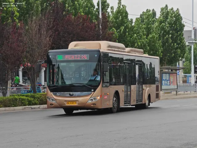 800BUS