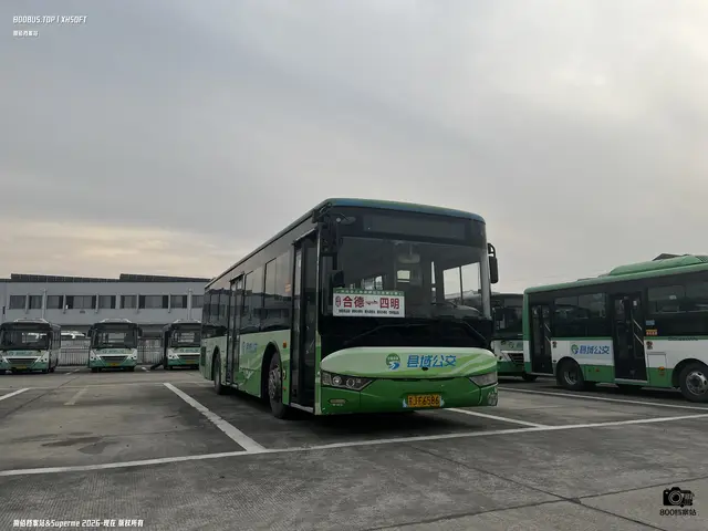800BUS
