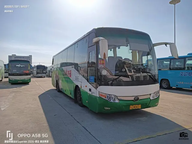 800BUS