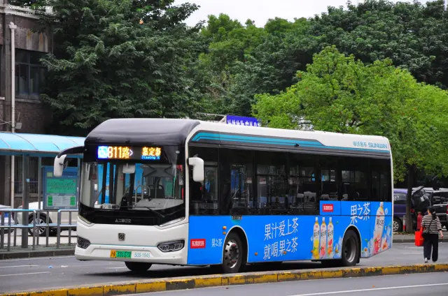 800BUS
