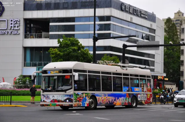 800BUS