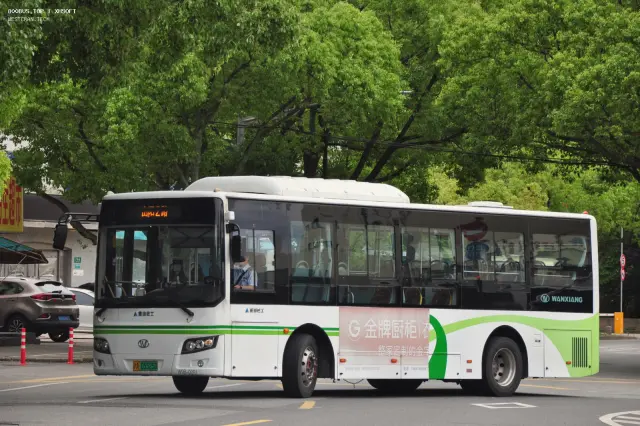 800BUS