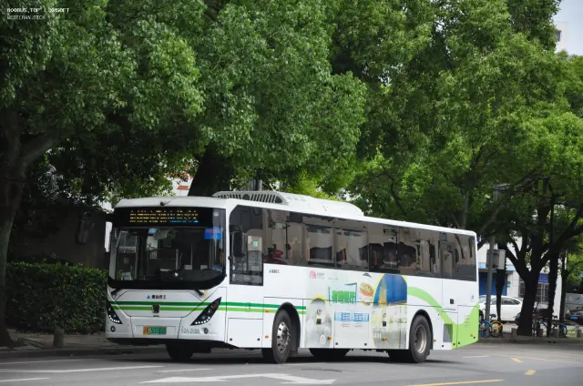800BUS