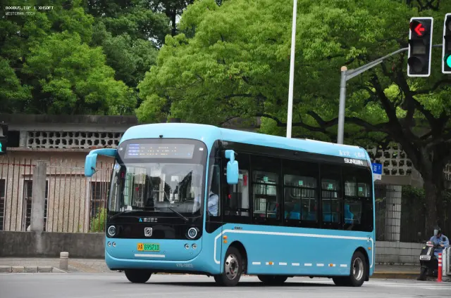 800BUS