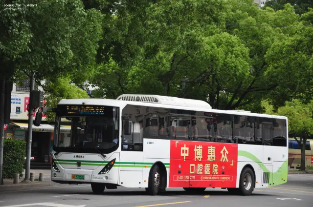 800BUS