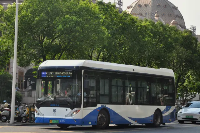 800BUS