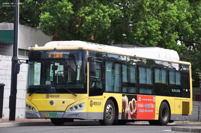 800BUS