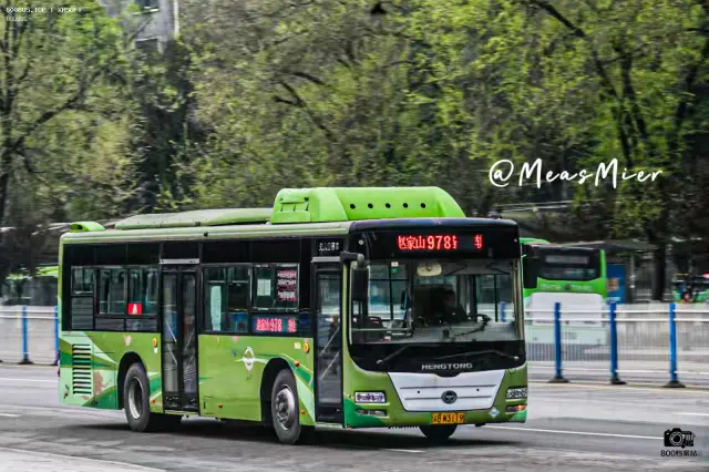 渝B W3119