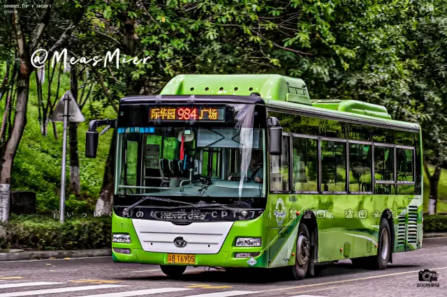 渝B T6905