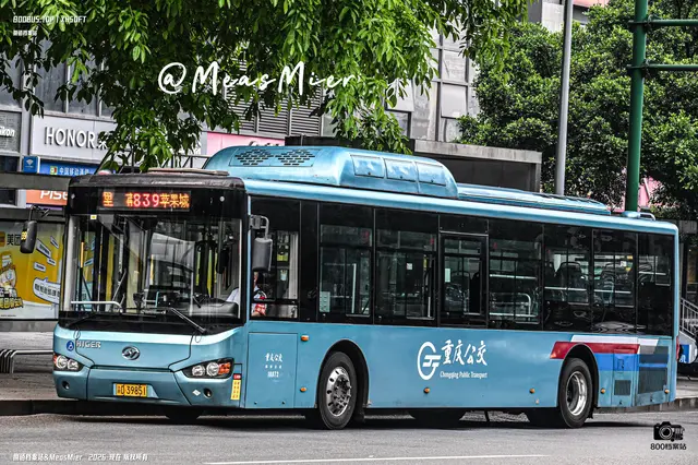 渝D 39851