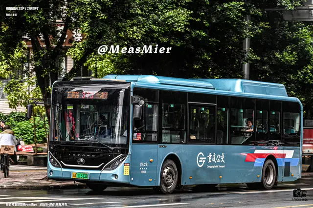 800BUS