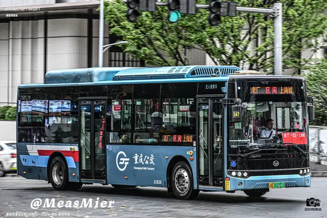 800BUS