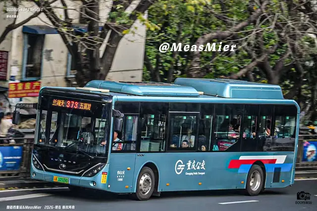 800BUS