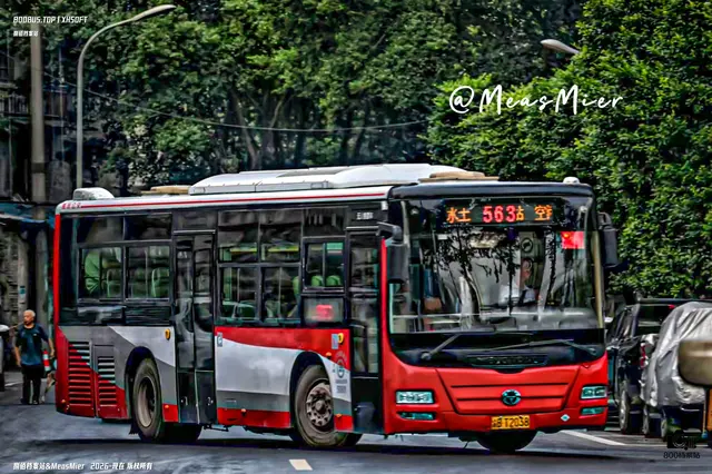 800BUS