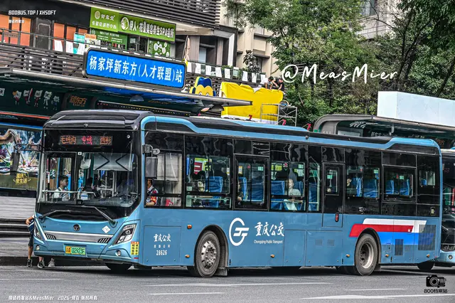 800BUS