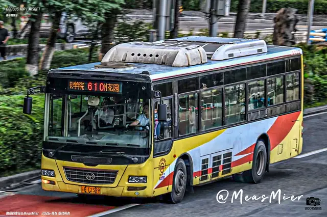 800BUS