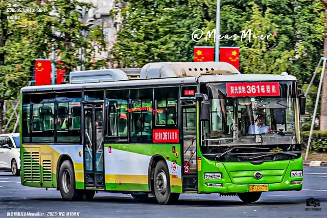 800BUS