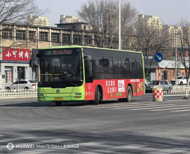 800BUS