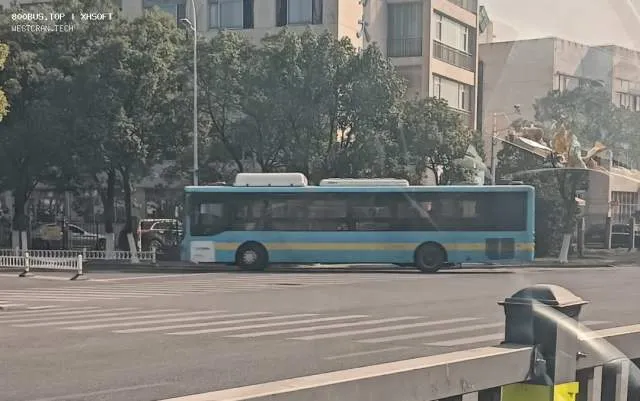 800BUS