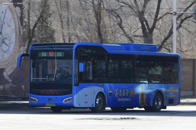 800BUS