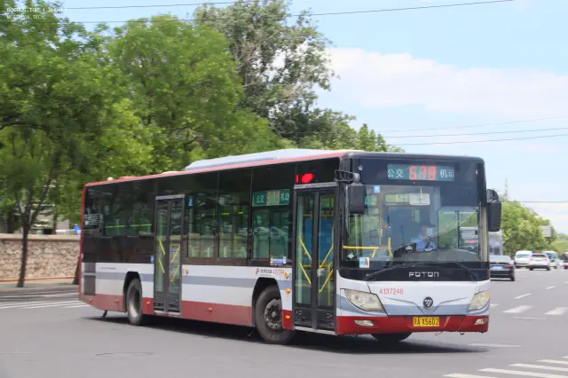 800BUS