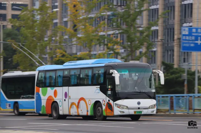 800BUS