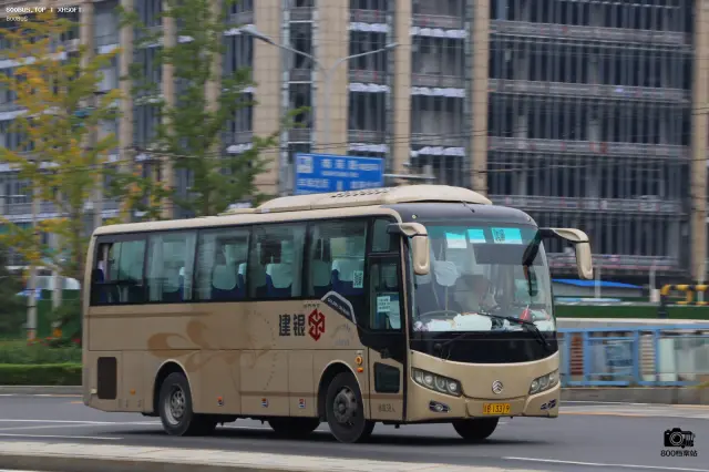 800BUS