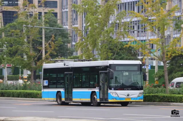 800BUS