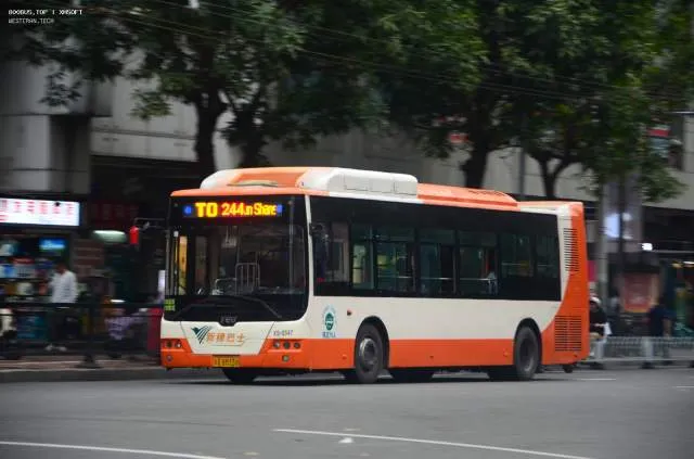 800BUS