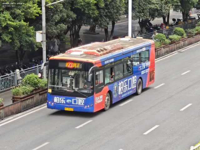 800BUS
