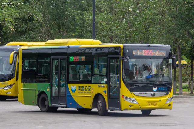 800BUS
