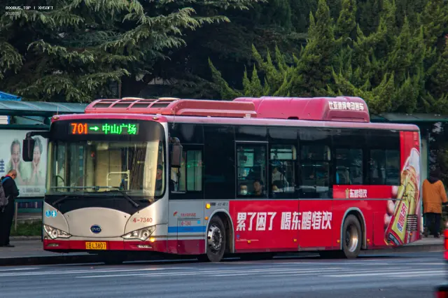 800BUS