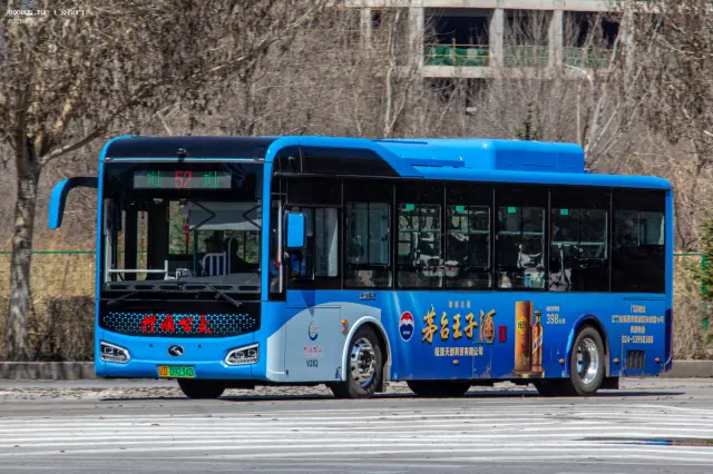 800BUS