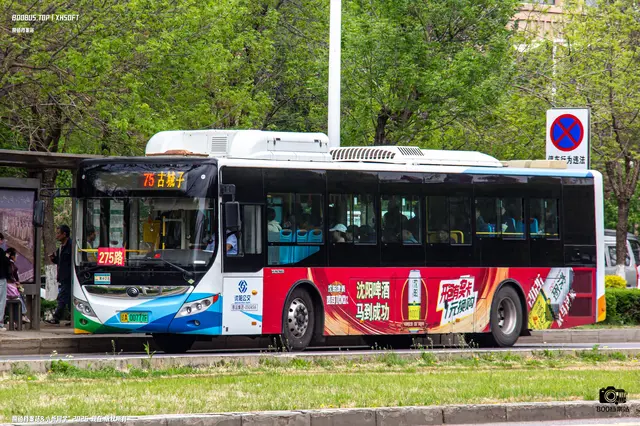 800BUS