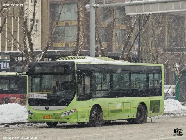 辽K 98917