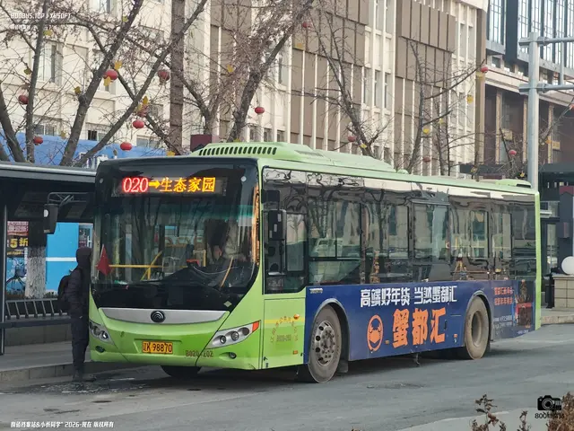 800BUS