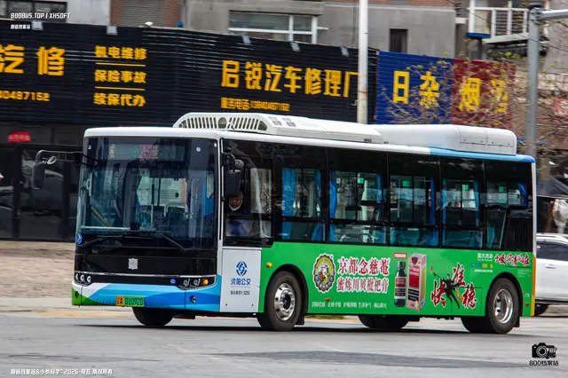 800BUS