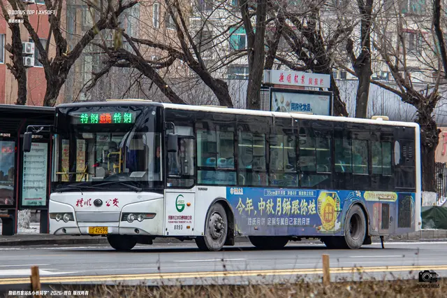 800BUS
