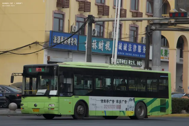 800BUS