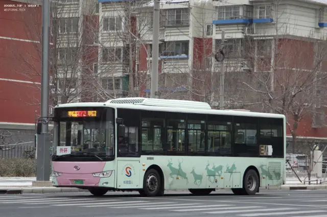 800BUS