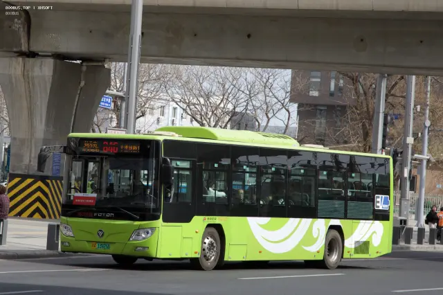 800BUS
