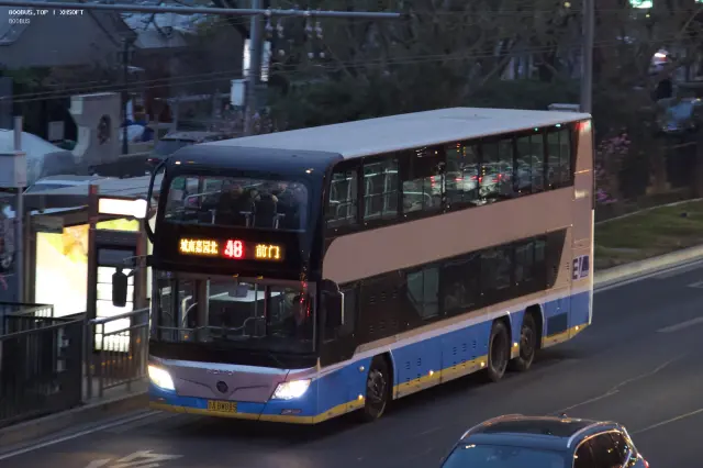 800BUS
